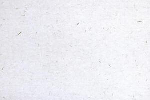 Plant fibers decorated paper background. Cotton palm decorative paper texture. Landscape horizontal orientation. photo