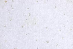 Gold stains decorated paper background. Cream with gold spots decorative paper texture. Landscape horizontal orientation. photo