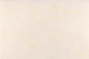 Thin silk fibers decorative paper texture. Plant fibre hairs decorated paper background. Landscape horizontal orientation. photo