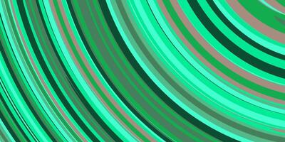 Green grey cool sun shining creative. Colored curves background. Color arc bow surface. Amazing multicolor arch backdrop. Awesome colorful rounding pattern. Abstract school education design. photo