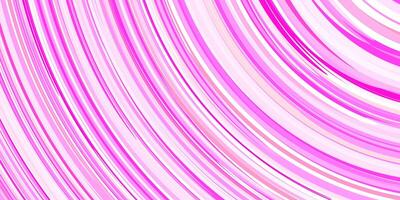 Pink amazing multicolor arch backdrop. Awesome colorful rounding pattern. Abstract school education design. Cool sun shining creative. Colored curves background. Color arc bow surface. photo