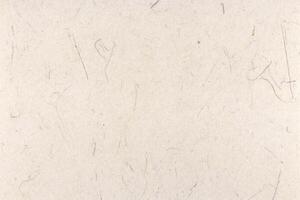Rice fragrance decorative paper texture. Decorated plant fibre paper background. Landscape horizontal orientation. photo