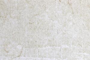 Decorated plant fibre paper background. Rice fragrance decorative paper texture. Landscape horizontal orientation. photo
