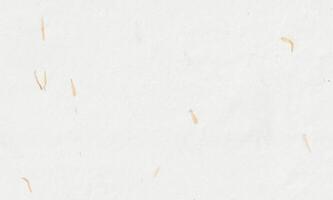 Yellow Petals Paper Texture. Handmade Rice Fibers for Scrapbook Background. Seamless Transition. photo