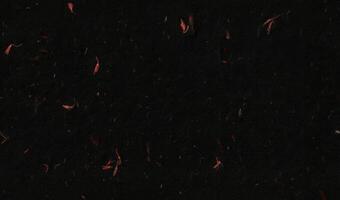 Antique Blank Hand Made Blank Sheet Fibers Red Flowers Black Paper Texture Background. Seamless Transition. photo