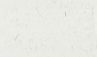 Natural chinese floral decorative paper texture with palm fibers photo