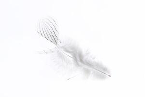 Small fluffy fantasy light pheasant feather texture. Macro close-up. photo