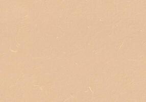Handmade Rice Paper Texture. Pancho, Negroni, New Tan, Chamois Color. Seamless Transition. Scrapbook Paper Design for the Background. photo