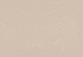 Handmade Rice Paper Texture. Stark White, Grain Brown, Aths Special, Wafer Color. Seamless Transition. Creative Digital Paper for the Creation Background. photo