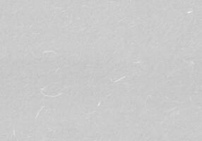 Handmade Rice Paper Texture. Light Grey, Silver, Gainsboro Color. Seamless Transition. Creative Digital Paper for the Creation Background. photo