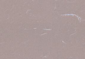 Fibers Rice Paper Texture. Dusty Grey, Martini, Zorba, Opium Color. Xuan Natural Fibers Paper for the Background. Seamless Transition. photo