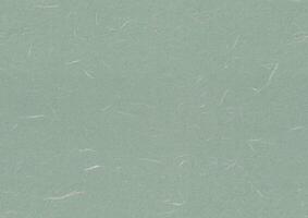 Fibers Rice Paper Texture. Edward, Mantle, Envy, Tower Grey Color. Decorative Pattern Paper for the Background. Seamless Transition. photo