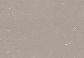 Fibers Rice Paper Texture. Zorba, Cloudy, Dawn, Eagle Color. Antique Organic Rough Paper for the Background. Seamless Transition. photo