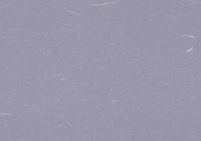 Fibers Rice Paper Texture. Spun Pearl, Grey Suit, Logan Color. Detailed Rustic Retro Art Paper Surface for the Background. Seamless Transition. photo