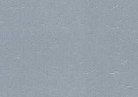 Fibers Rice Paper Texture. Manatee, Grey Chateau, Mischka, Gull Grey Color. Xuan Natural Fibers Paper for the Background. Seamless Transition. photo