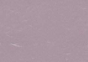 Fibers Rice Paper Texture. Mountbatten Pink, Dusty Grey, London Hue Color. Decorative Pattern Paper for the Background. Seamless Transition. photo