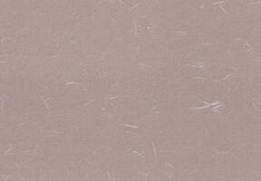 Fibers Rice Paper Texture. Zorba, Thatch, Martini, Dusty Grey Color. Chinese Traditional Material for the Background. Seamless Transition. photo
