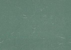 Fibers Rice Paper Texture. Cutty Sark, Laurel, Mineral Green, William Color. Creative Digital Paper for the Creation Background. Seamless Transition. photo