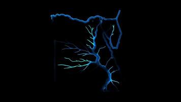 Neon frame effect map of Egypt, glow, black background. video