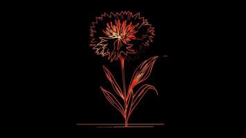 Neon frame effect cornflower, the national flower of Estonia, glow, black background. video