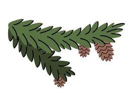 Hand drawn winter illustration of pine twig with cones. Branch of spruce, fir. Conifer floral design. Cute simple needles botanical print. Flat in colored doodle style. Isolated. vector