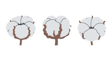 Hand drawn cute floral illustration of cotton branch set. Flat botanical elements in simple colored doodle style. Flower and leaf icon or print. Isolated on white background. vector