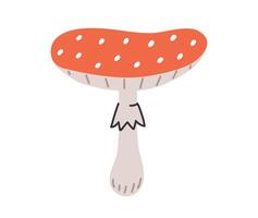 Hand drawn cute contemporary illustration amanita mushroom. Flat fly-agaric element in simple colored doodle style. Forest, nature, autumn sticker, icon or print. Isolated on white background. vector