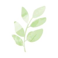 Abstract Leaf Element Watercolor Background vector