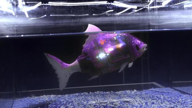 A robot fish in aquarium. Media. Artificial version of robot fish glowing in water. Robot fish with artificial intelligence in aquarium photo