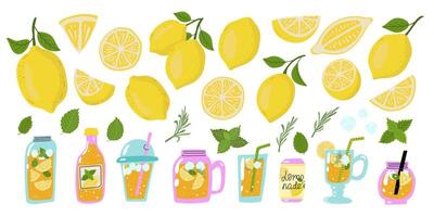 Summer big set with lemons,lemonade, mint, rosemary and ice cube. Lemonade in different glass container vector