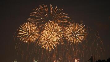 The colorful and beautiful fireworks show with the dark sky as background at night photo