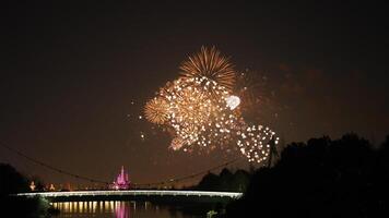 The colorful and beautiful fireworks show with the dark sky as background at night photo