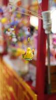 The sugar coated food on the sticks view in the festival day in China photo