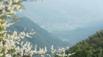 The beautiful mountains landscapes with the green forest and little village as background in the countryside of the China photo