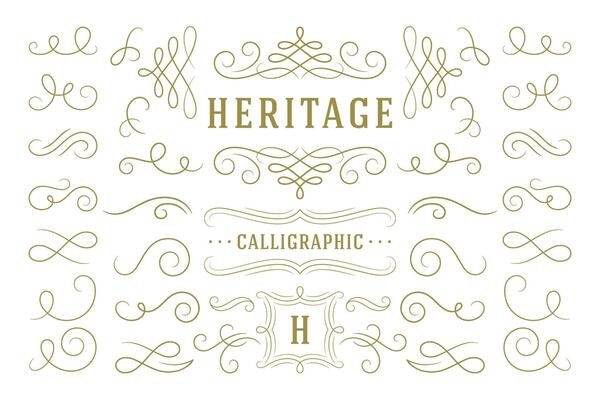 Calligraphic design elements vintage ornaments swirls and scrolls ornate decorations design elements.