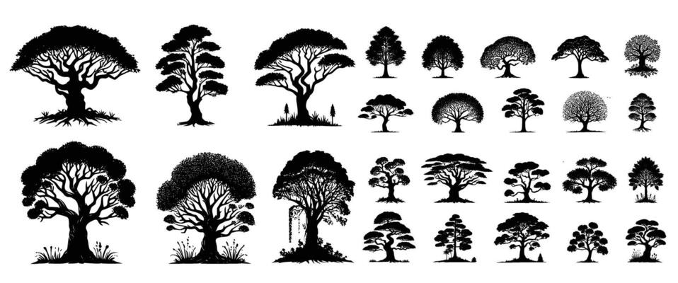 Collection of trees on white background
