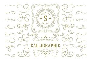 Calligraphic design elements vintage ornaments swirls and scrolls ornate decorations design elements. vector