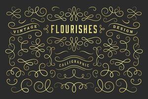 Calligraphic design elements vintage ornaments swirls and scrolls ornate decorations design elements vector