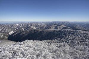 Mountain with the hoarfrost on the trees at Yongpyong Ski Resort, Mountain Winter South in Korea. photo