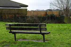 Quiet Park Bench Surrounded by Trees and Nature photo