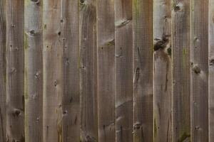 Natural Wood Texture Background with Wall Pattern photo