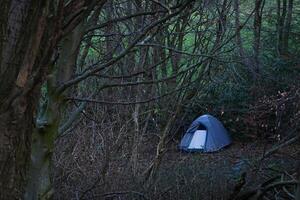 Tent Camping in the Woods, A serene forest scene with a tent nestled among the trees, for outdoor adventure and leisure concept photo