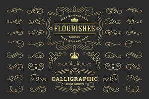 Calligraphic design elements vintage ornaments swirls and scrolls ornate decorations design elements vector