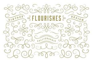 Calligraphic design elements vintage ornaments swirls and scrolls ornate decorations design elements vector