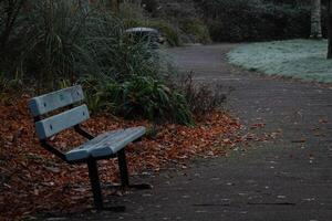 Autumn park bench surrounded by trees and grass, a serene spot for relaxation in nature photo