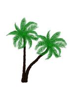 green tree of Coconut Palm Tree with isolated white background illustration vector