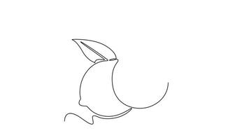 Self drawing animation of single line draw of whole and sliced healthy organic lemon for orchard logo identity. Fresh zest fruitage concept for fruit garden. Continuous line draw. Full length animated video