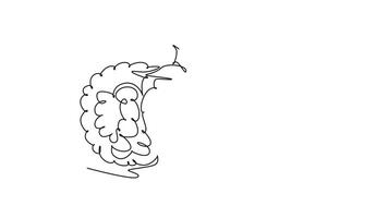Self drawing animation of single line draw of whole healthy organic raspberry for orchard logo identity. Fresh berry fruitage concept for fruit garden icon. Continuous line draw. Full length animated video