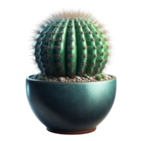 Generated Ai a cactus plant with a flower on it sits in a pot png