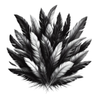 Generated Ai a black and white drawing of a feather that has the word feather on it png